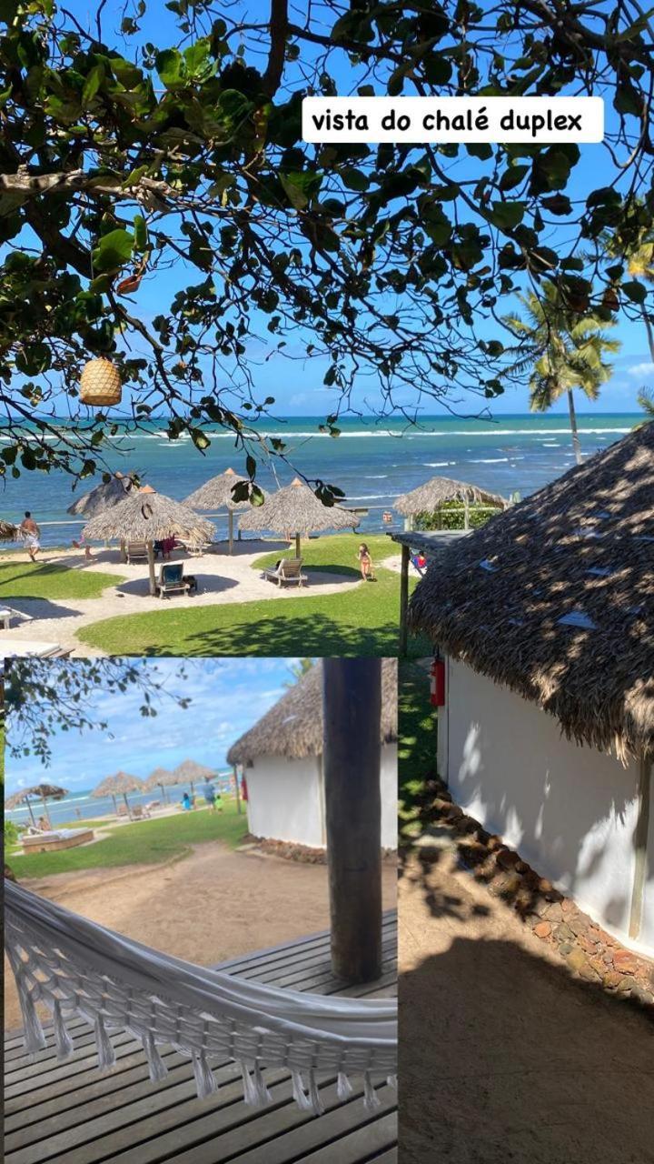 Pousada Farol Das Tartarugas Praia do Forte Exterior foto